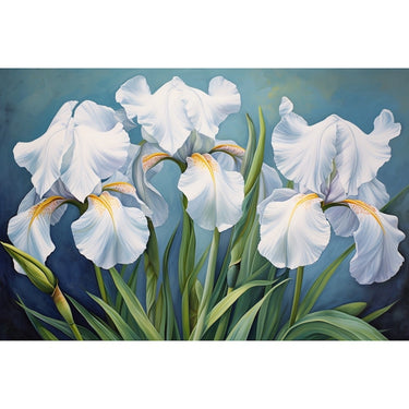 3 White Iris canvas